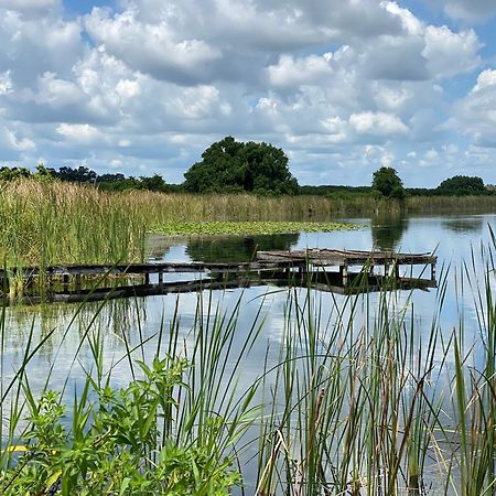 The Scandinavian Contemporary Blauw Lake Alfred Eksteriør billede